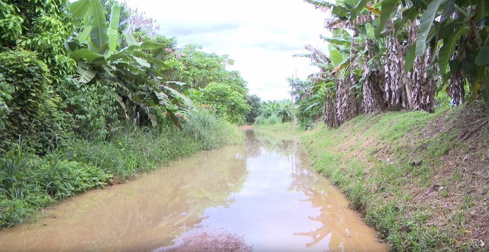 Estraga alagada no Ramal Maravilha em Porto Velho — Foto: Rede Amazônica