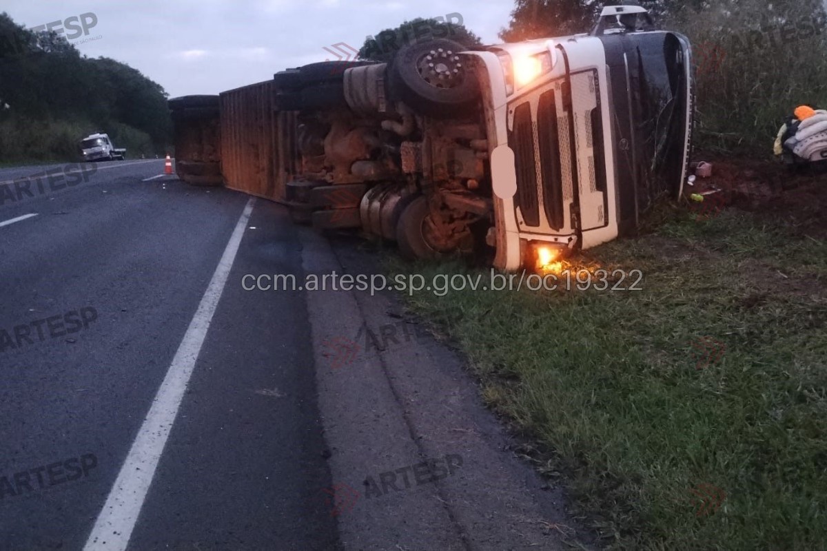 Motorista dorme ao volante e carreta com bovinos tomba em rodovia no interior de SP