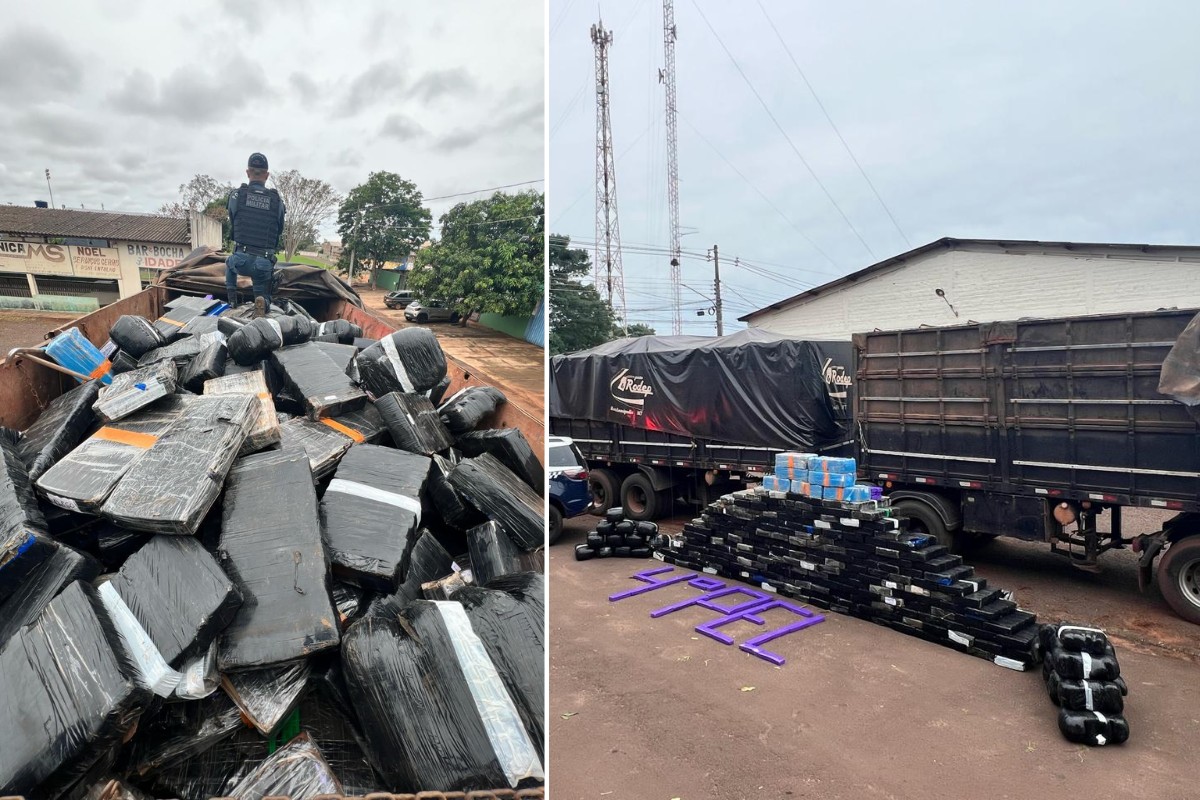 Polícia apreende 2,5 toneladas de maconha em carreta que transportava couro bovino em Mundo Novo
