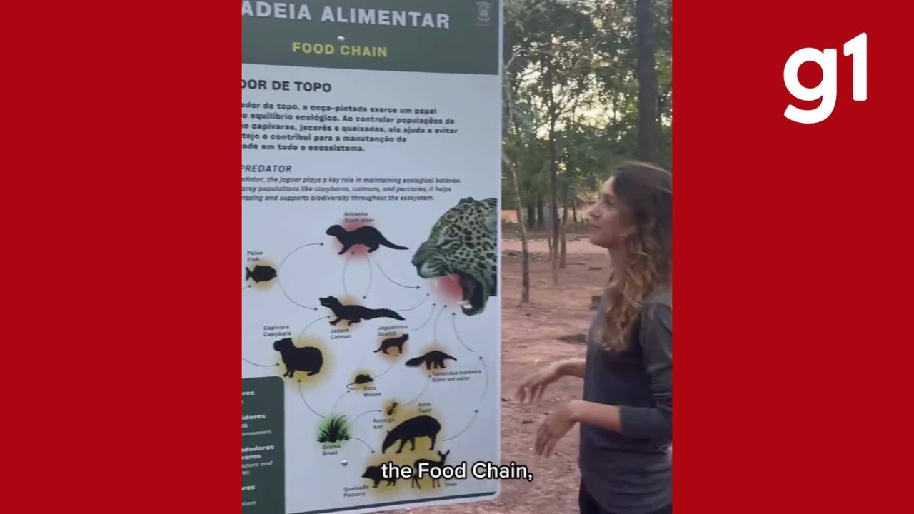 Terra da onça-pintada: conheça centro de educação ambiental inaugurado em MT