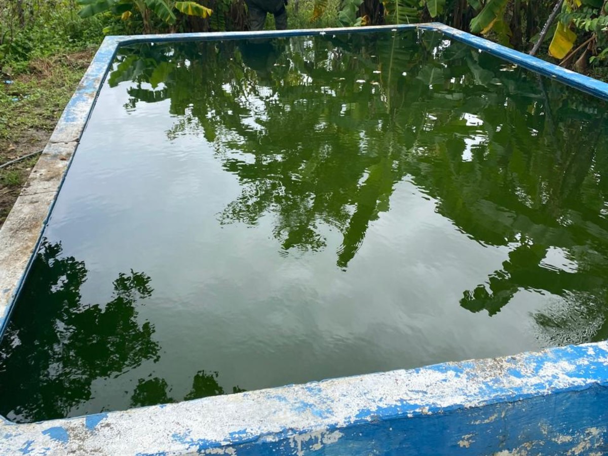 Compesa identifica furto de água em adutora capaz de abastecer até 5 mil pessoas por dia 