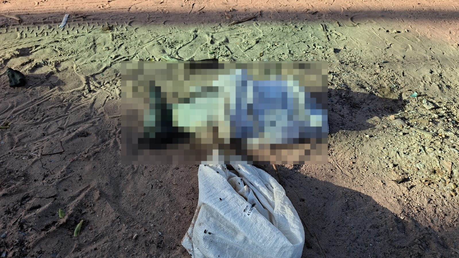 OAB repudia caso de cachorro encontrado morto em lixeira em Santarém, no oeste do Pará