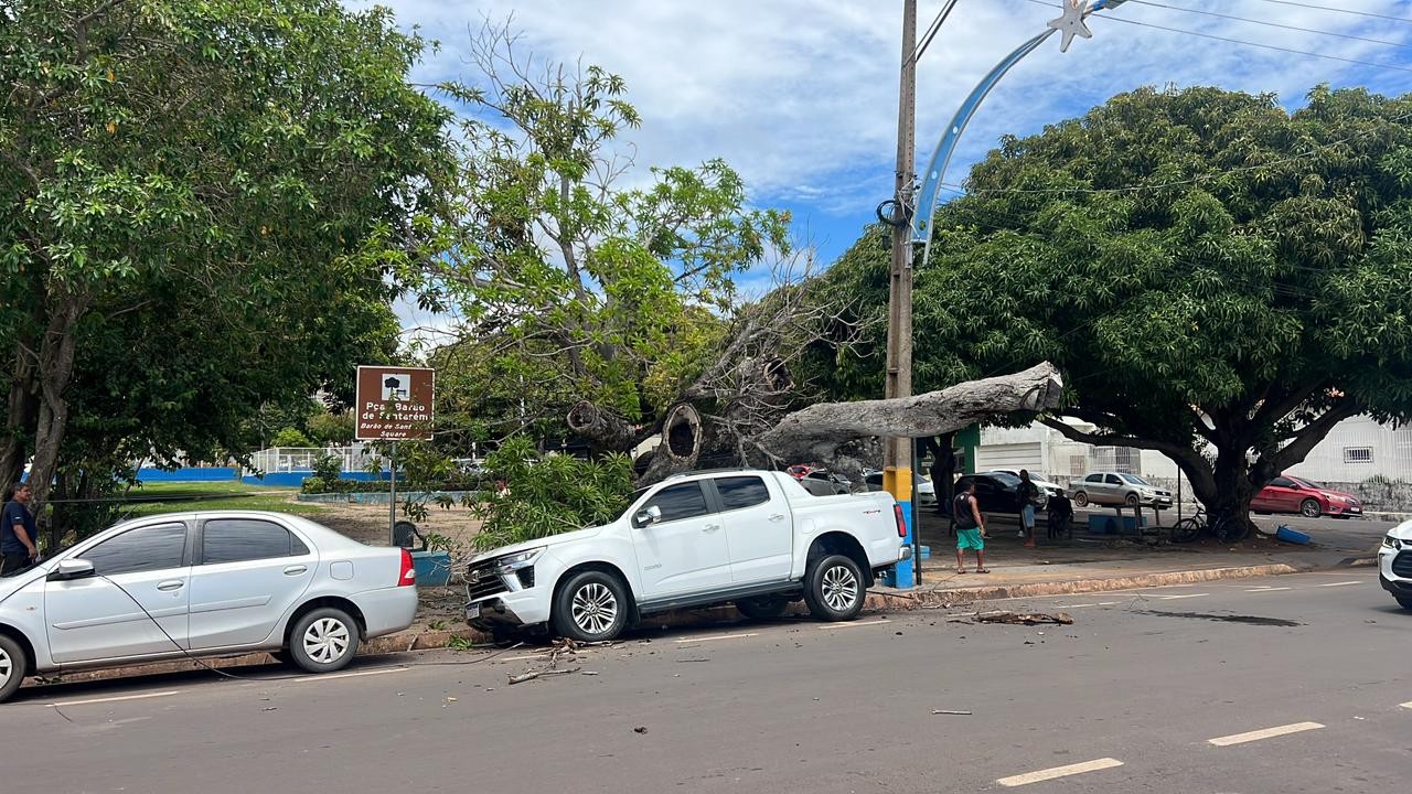 Árvore cai na Av. Tapajós, atinge carro, interdita via e deixa ruas sem energia em Santarém