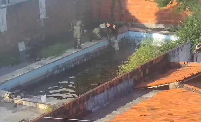 Cão é resgatado após ficar preso em piscina de imóvel abandonado em Fortaleza; vídeo