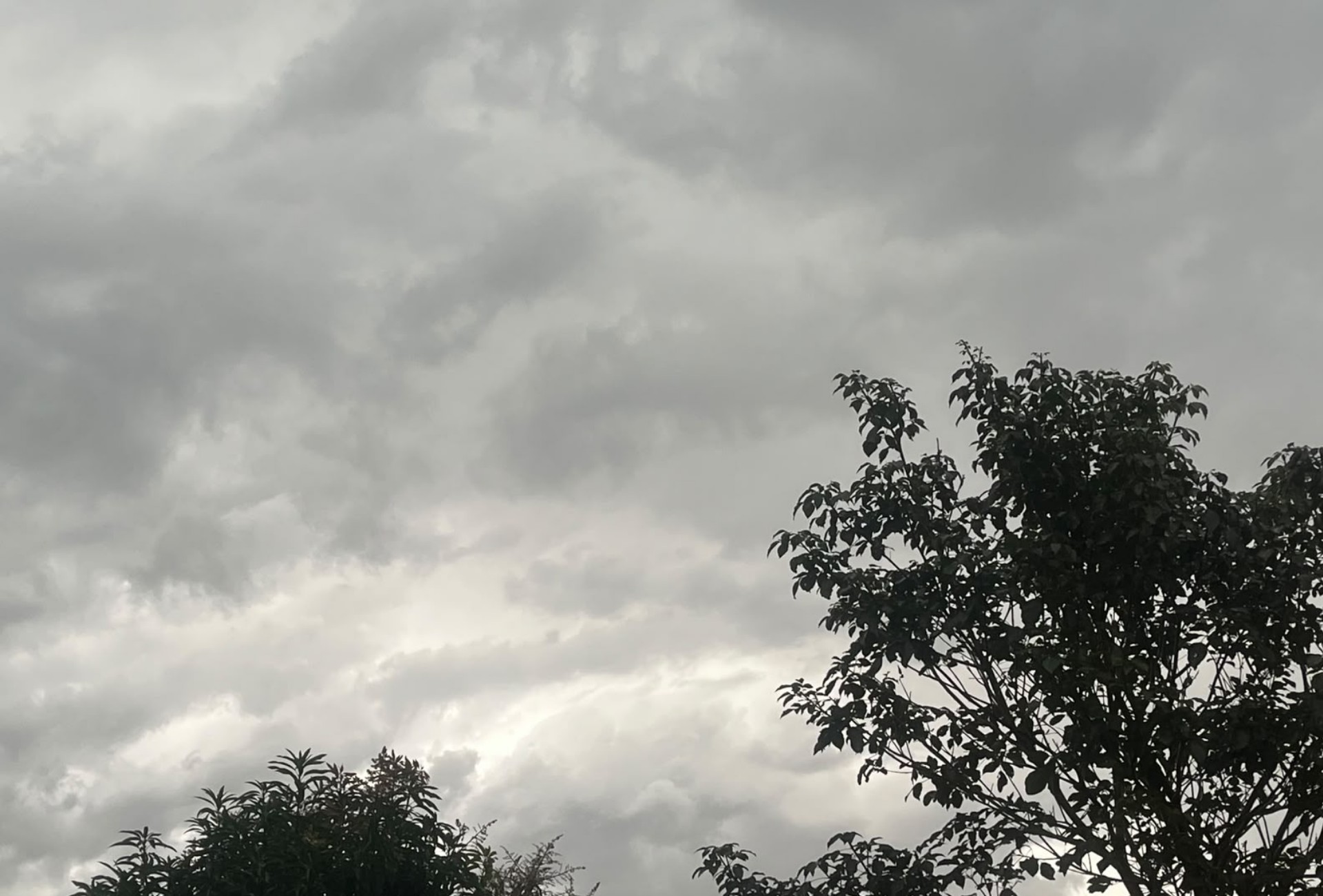 Tornado no Sul e ciclone bomba colocam Mato Grosso do Sul em alerta para temporais e ventania