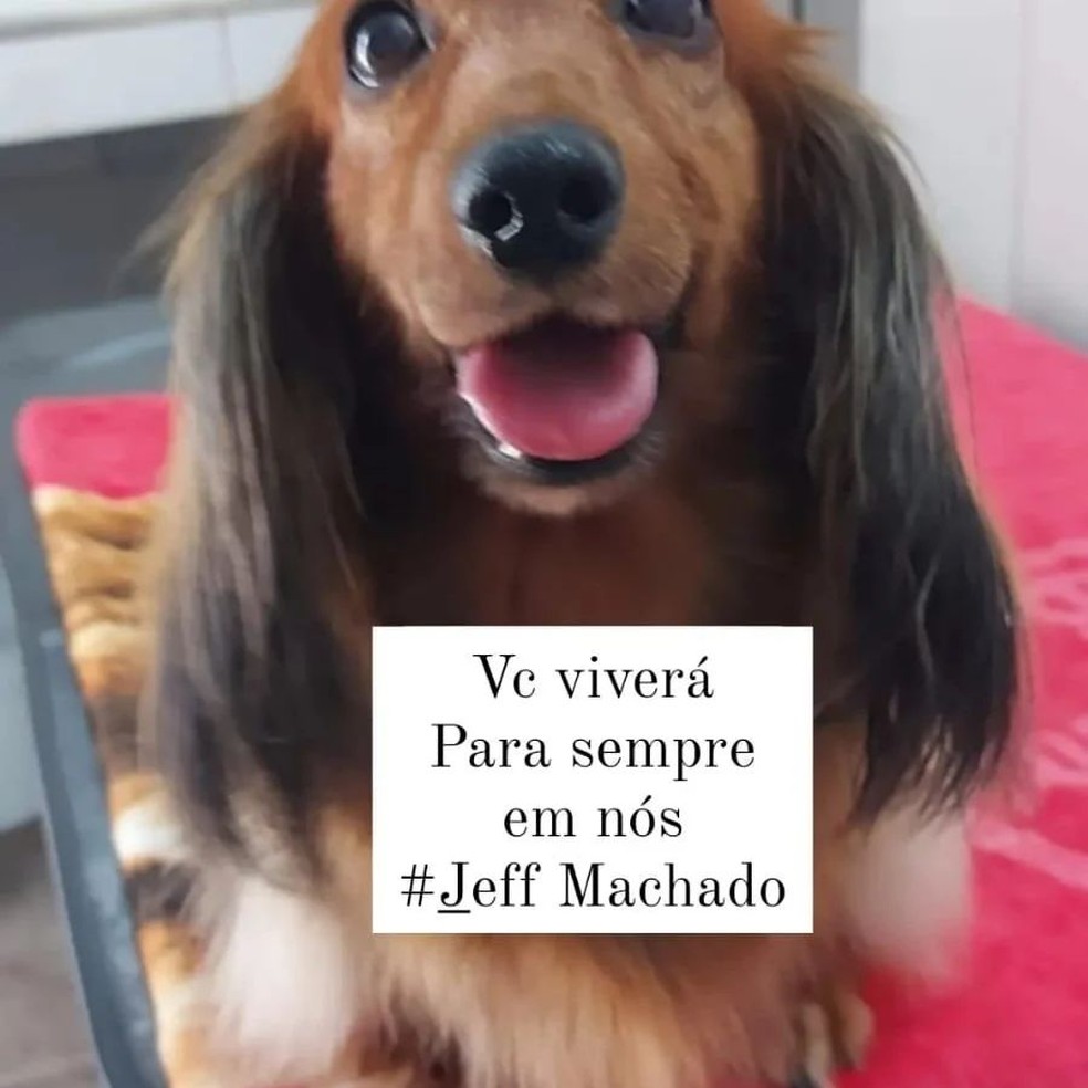 Te menti  Memes, Funny, Doge