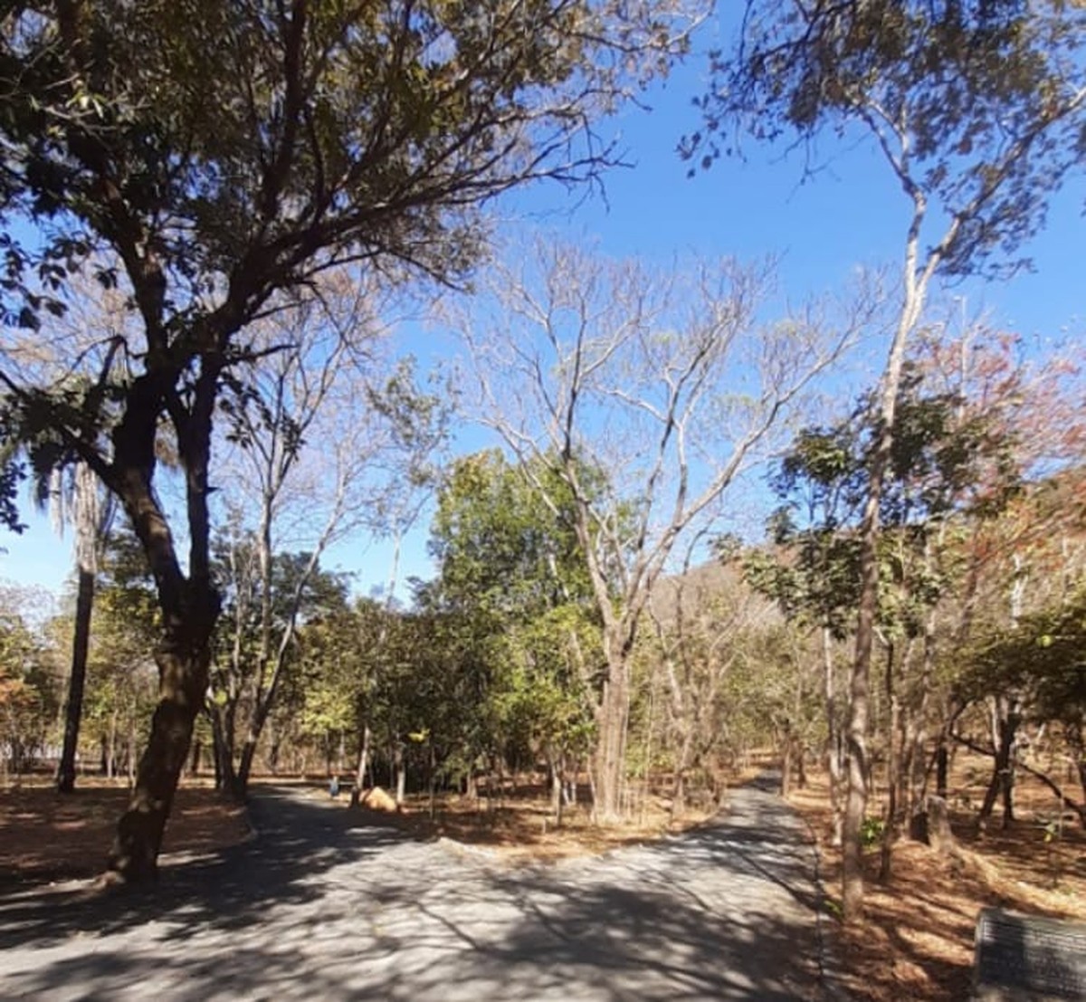 Quatro pessoas ficam perdidas nas trilhas do Parque Sapucaia, em Montes ...