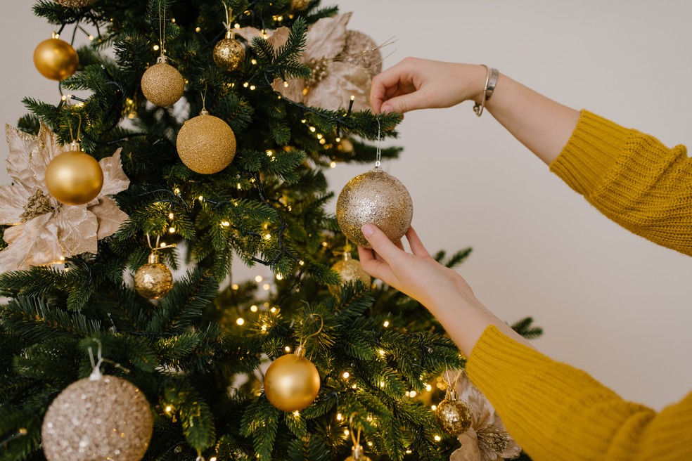 Árvore de Natal — Foto: Pexels/Julia Volk