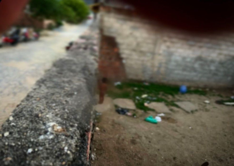 Menino resgatado sozinho em União dos Palmares ao lado de cachorro AL — Foto: Conselho Tutelar