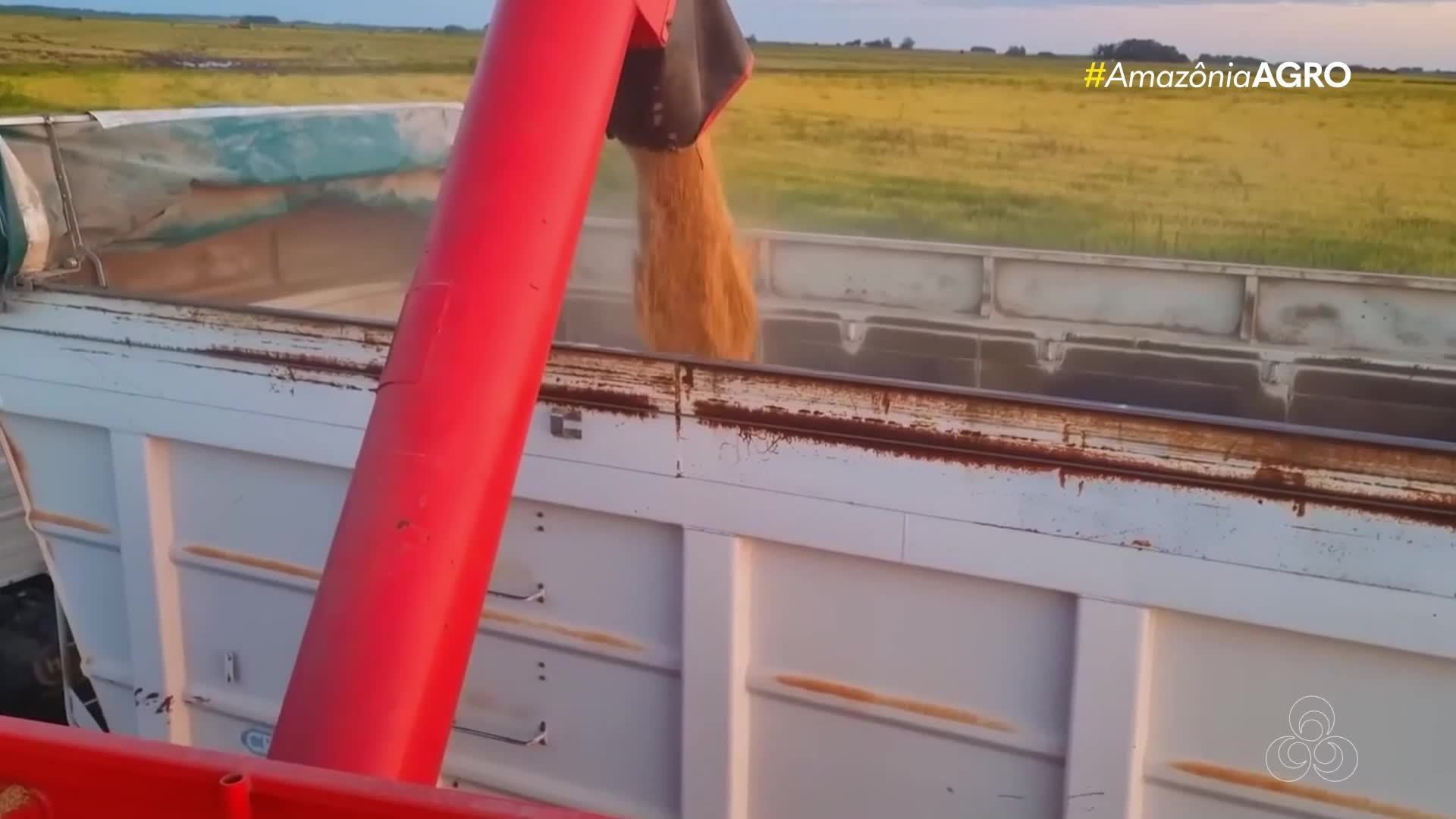 Assista o Amazônia Agro - RO deste domingo, 4