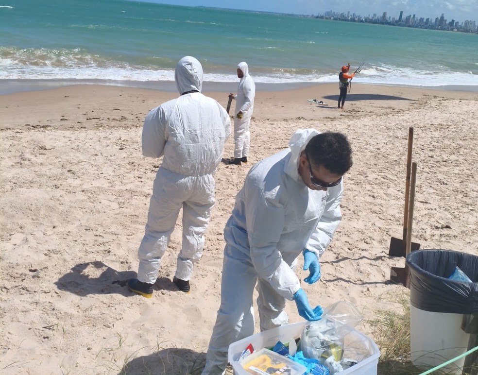 Uma equipe do Projeto Peixe-Boi-Marinho realizou a autopsia do golfinho para identificar a real causa da morte. � Foto: Divulga��o/GCM Cabedelo