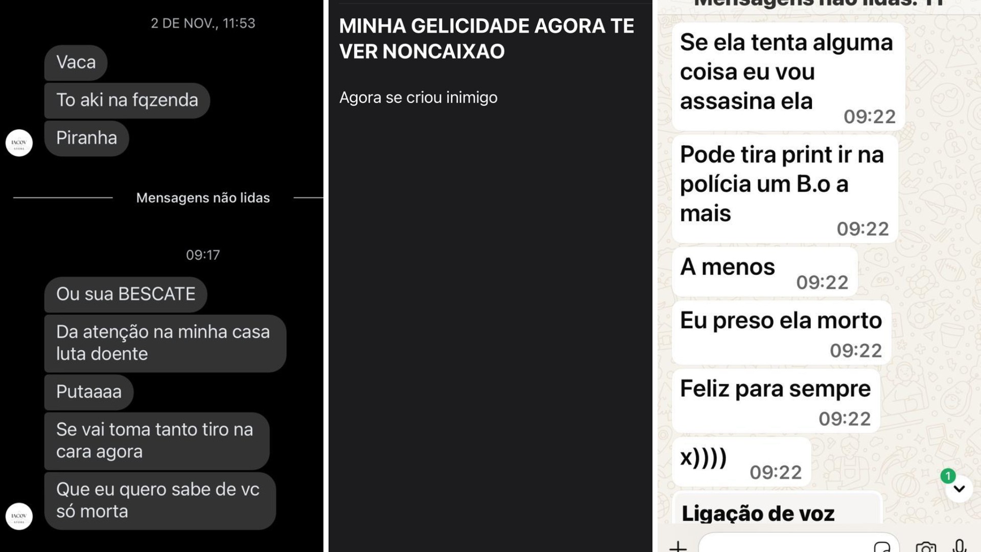 Suspeito de filmar tortura em cachorra da ex enviou mensagens com ameaças de morte para ela: 'Felicidade é te ver no caixão'