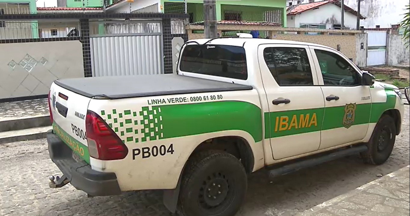 Concurso do Ibama tem edital publicado: veja vagas na Paraíba