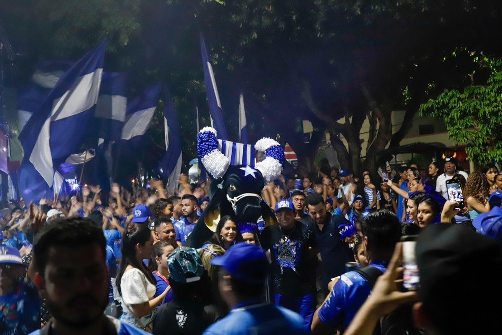 Caprichoso prepara Boi de Rua 2025 com duas concentrações e espetáculo em Parintins. — Foto: Michel Amazonas