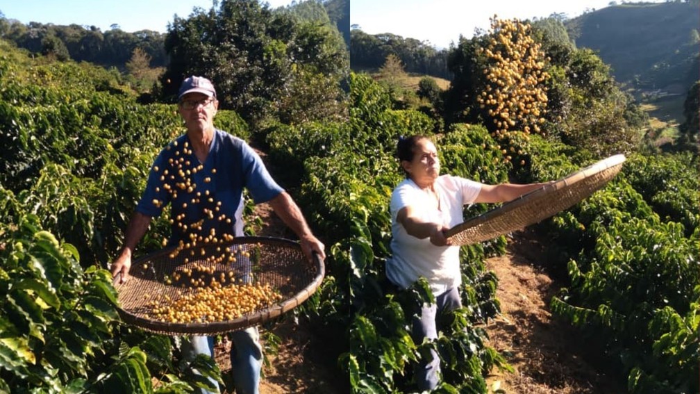 Café Cantinho da Floresta, em Divino de São Lourenço, Caparaó, Espírito Santo — Foto: Divulgação