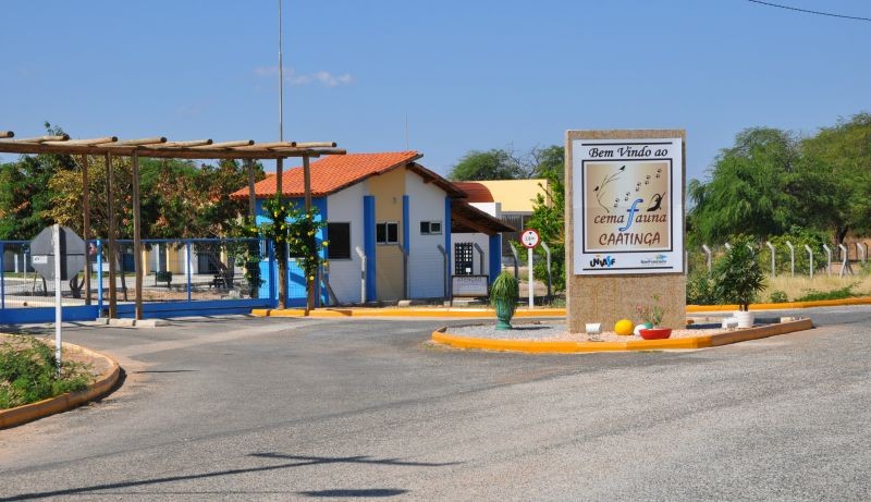 Museu do Cemafauna abre inscrições para atividades inclusivas gratuitas em Petrolina