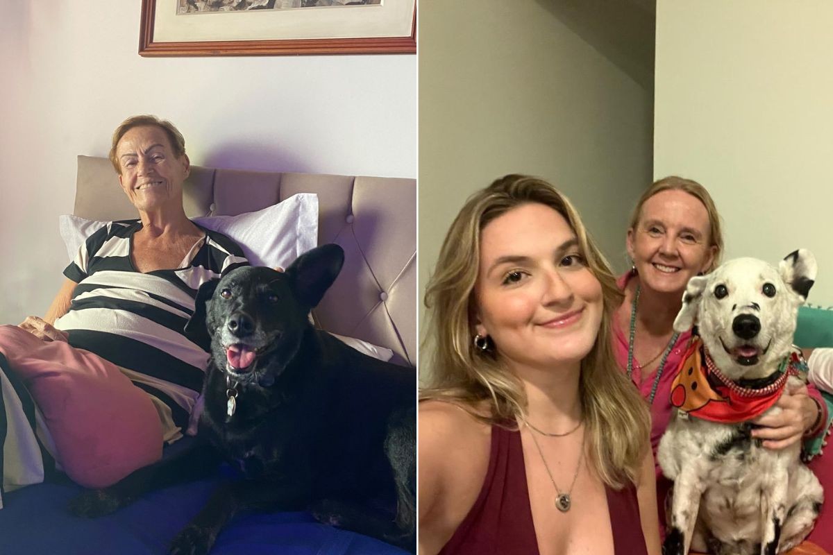 Cachorro com vitiligo viraliza nas redes sociais e ganha apelido de 'Buddy Jackson'; VÍDEO
