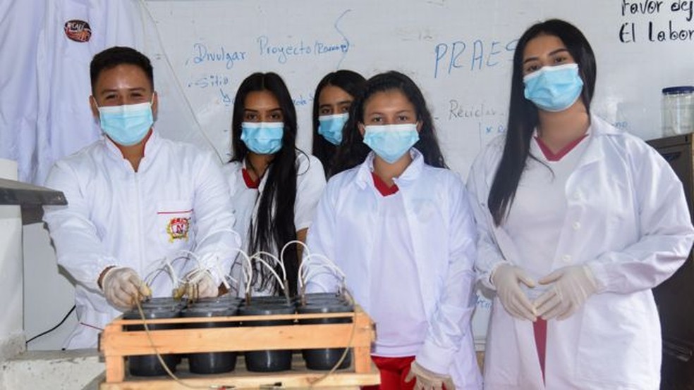 Alunos com teste experimental de bateria elétrica baseada na casca e mucilagem (substâncias químicas) do fruto do café. — Foto: William Hernández Guerrero/BBC