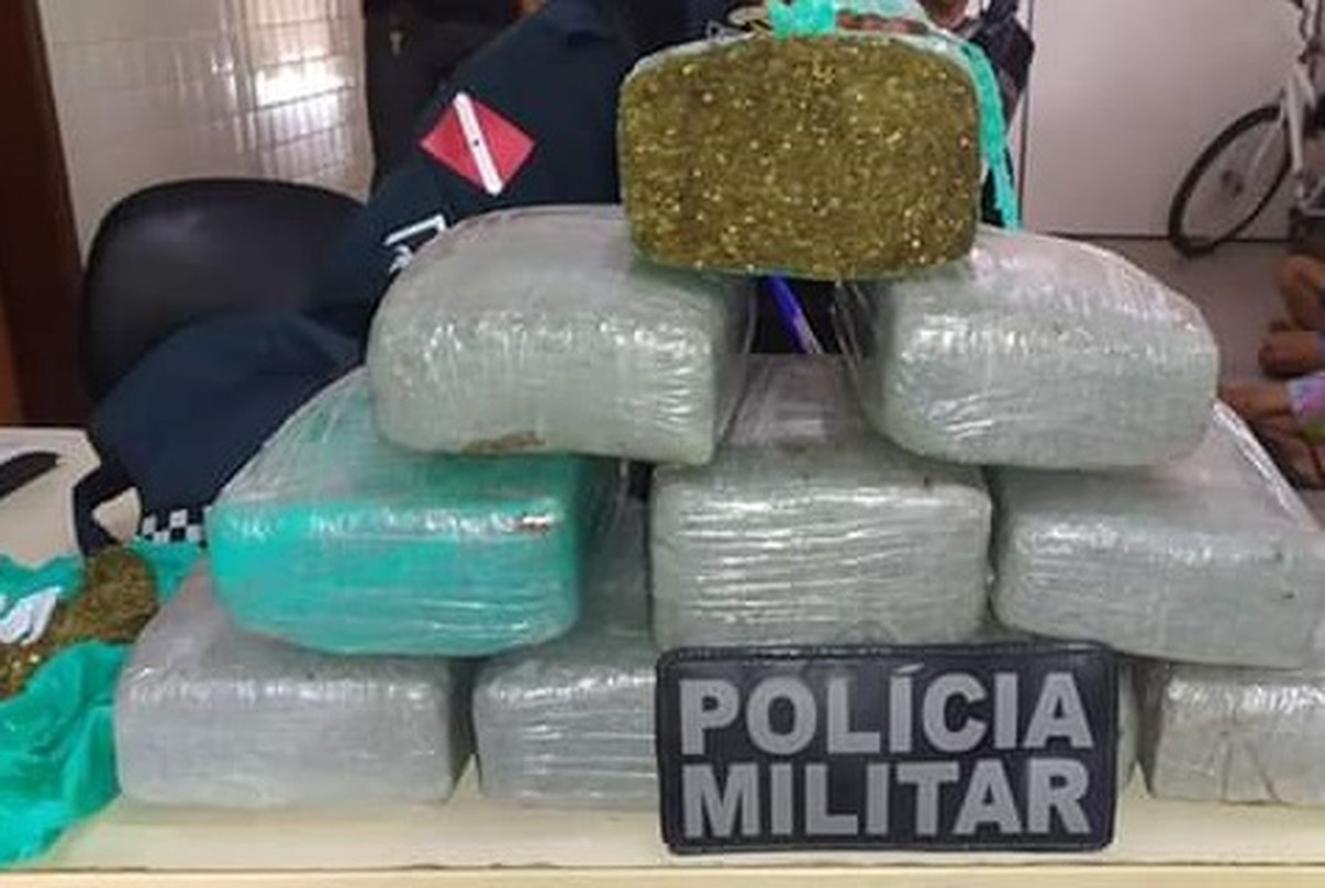 Idoso E Casal São Flagrados Pela Pm Com 10kg De Maconha Em Bragança No Pará Pará G1 