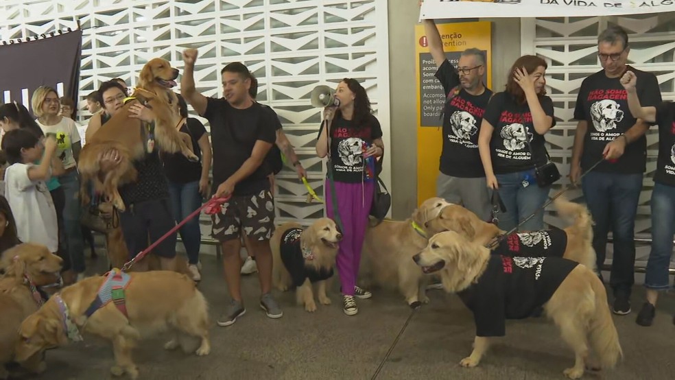 Donos de animais fazem protesto no Aeroporto de Cumbica, em Guarulhos, pedindo Justiça pelo cão Joca. — Foto: Reprodução/TV Globo
