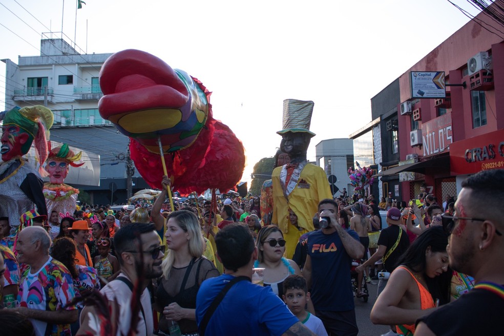 Carnaval 2023: Mutidão acompanha Pirarucu do Madeira em Porto Velho  — Foto: João Antônio Alves 