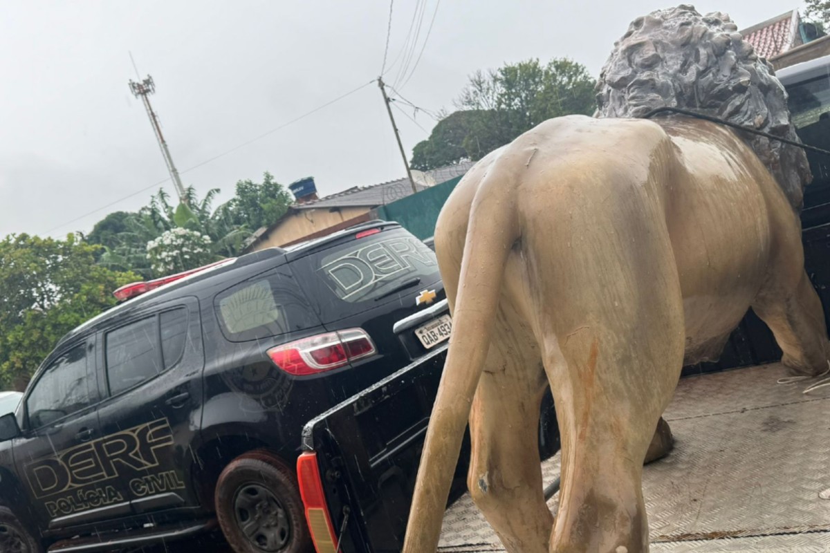 Preparem os lanches: Leão de hamburgueria é encontrado e suspeito é preso em Campo Grande