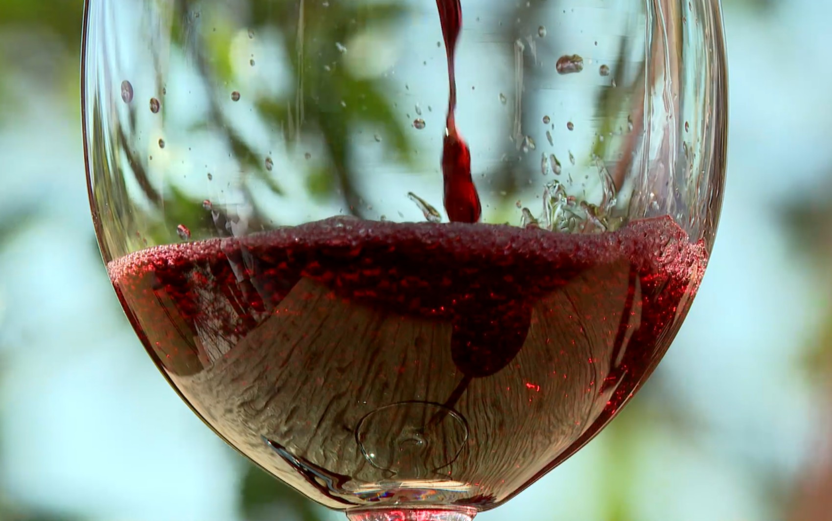 'Cartas de Vinho': técnica desenvolvida em MG permite colheita de uvas no inverno e impulsiona vinhos premiados