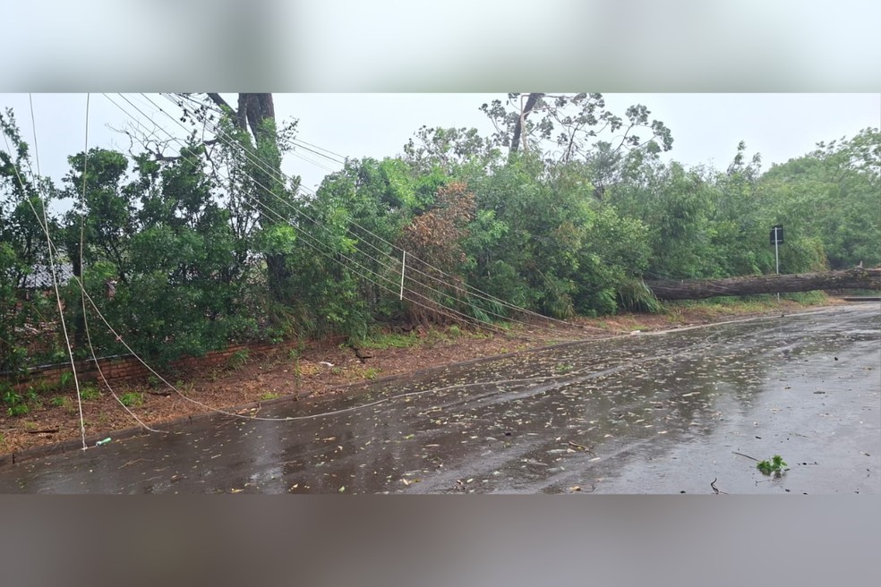 Chuva deixou estragos em Indiana (SP) — Foto: Defesa Civil