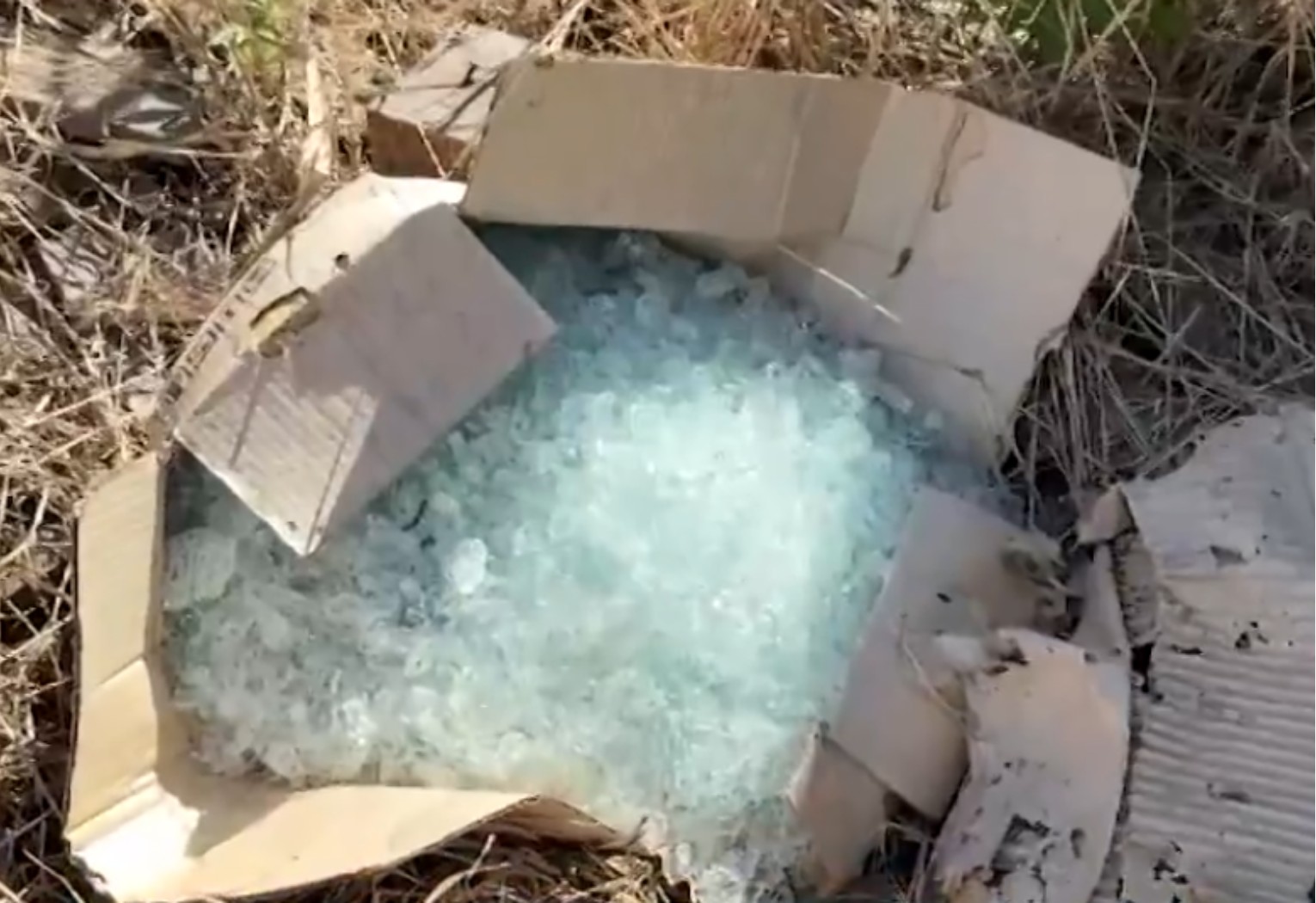 Linhas são recolhidas pela polícia no local onde jovem morreu após ser atingido no pescoço