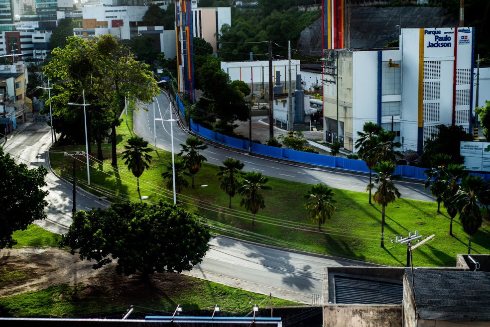 Imagem Milena Palladino/Cedida ao g1