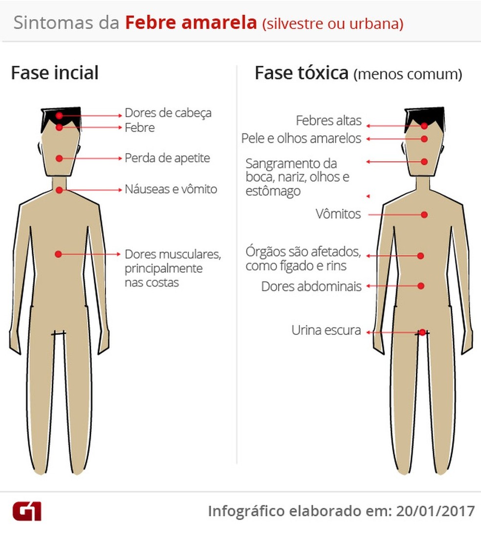 Mortes confirmadas por febre amarela chegam a 52, diz ministério | G1