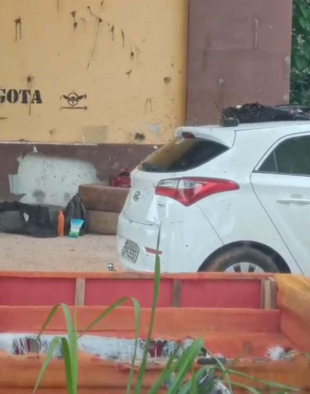 VÍDEO: Ataque de abelha deixa quatro  feridos durante partida de airsoft em Rio Branco