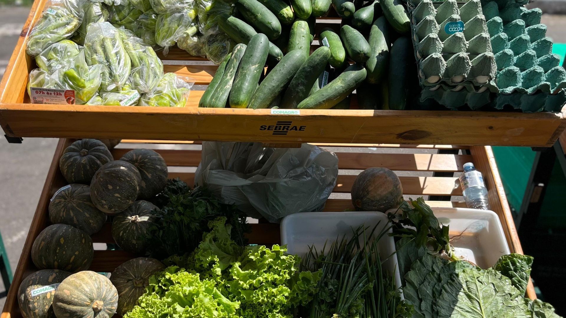 Feira Tucuju da Agricultura Familiar será realizada em Macapá nesta quarta-feira (3)