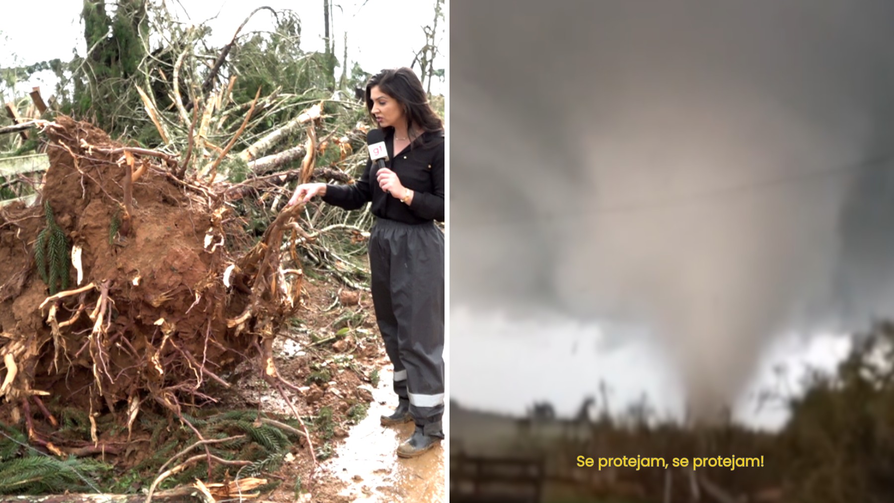 Tornado com ventos acima de 200 km/h arranca árvores pela raiz e destrói casas no Paraná; vídeo mostra reação dos moradores ao ver fenômeno