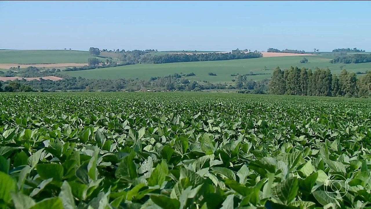 Feira Nacional da Soja celebra 100 anos do cultivo do grÃ£o no paÃ­s