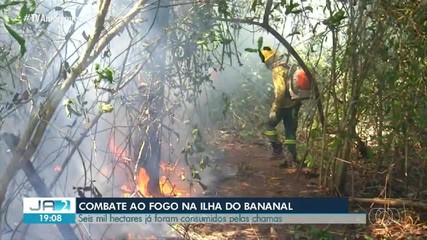 Incêndio florestal que atinge Ilha do bananal e já destruiu cerca de seis mil hectares
