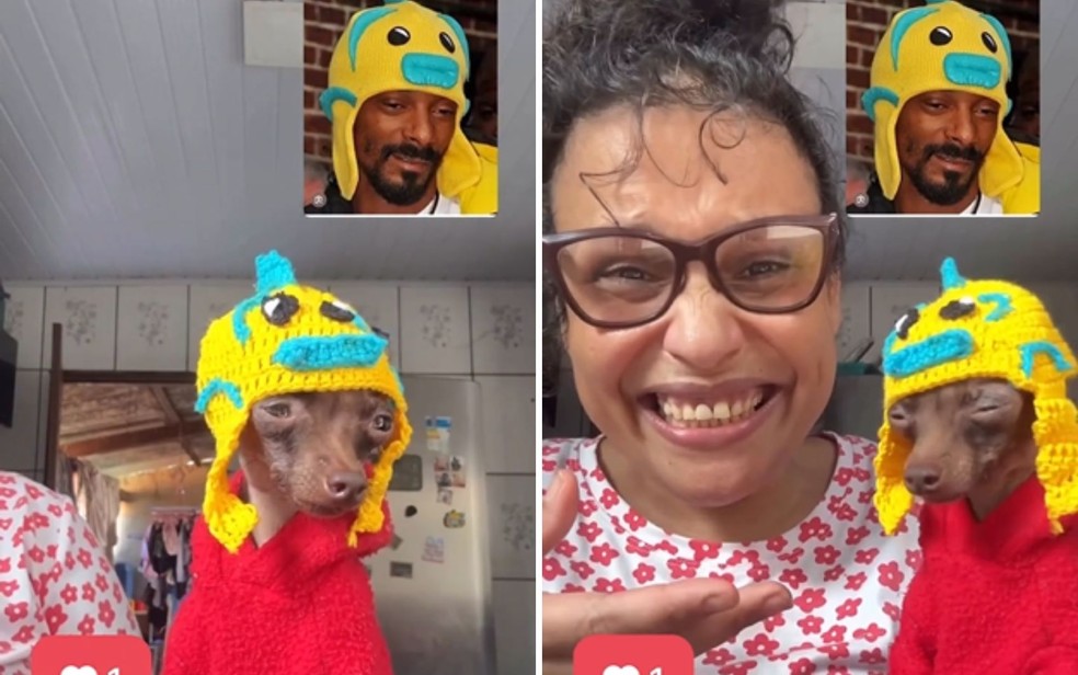 Goiana faz sucesso após Snoop Dogg compartilhar pinscher com look inspirado no rapper, Goiás — Foto: Reprodução/Instagram Snoop Dogg