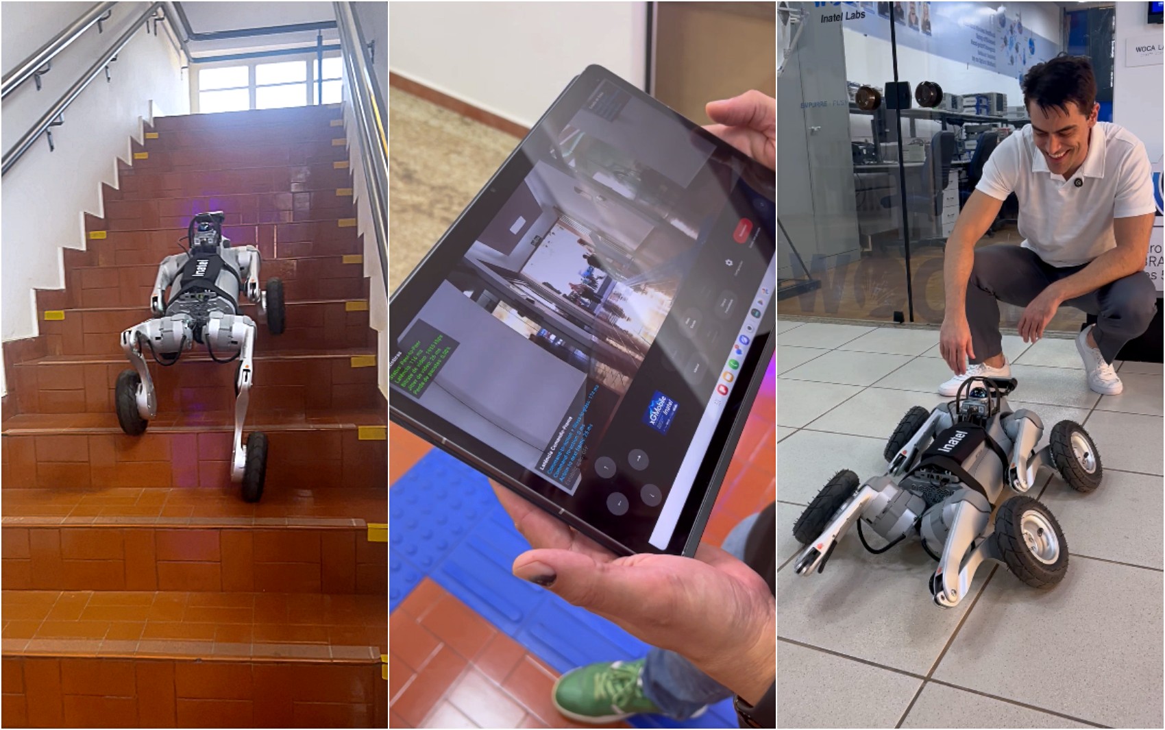 Cachorro detetive? Inatel testa robô canino controlado à distância por 5G para buscar pessoas e fazer inspeções