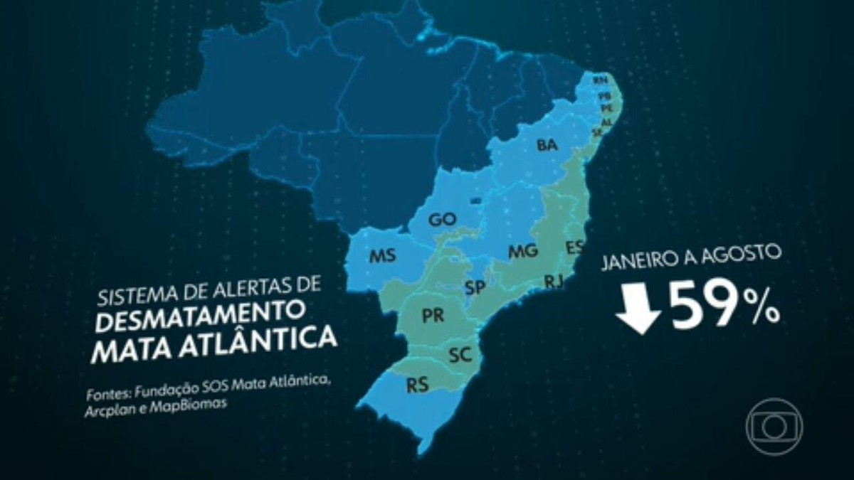 Desmatamento Na Mata Atlântica Cai Quase 60 De Janeiro A Agosto Deste Ano Jornal Nacional G1 3361