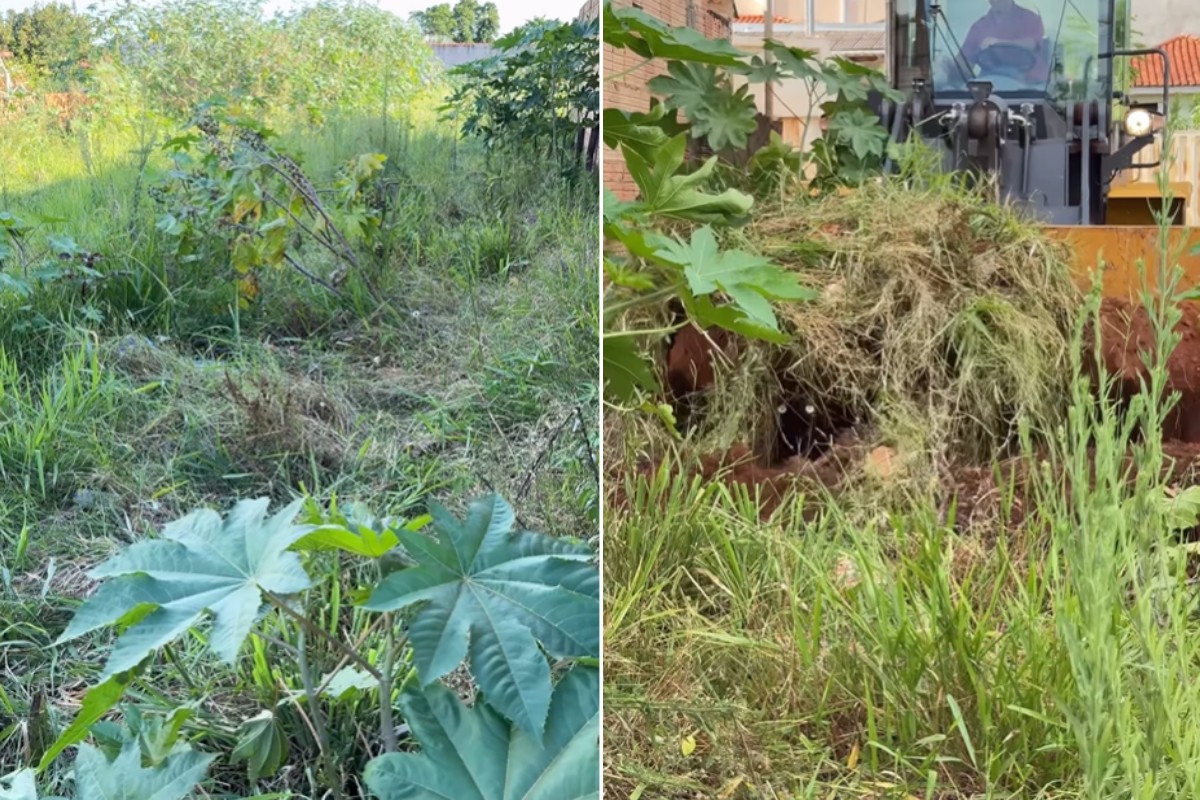 Após não limpar terreno, prefeito anuncia mais de R$ 4 mil em multas como ‘presente de Natal’ ao proprietário