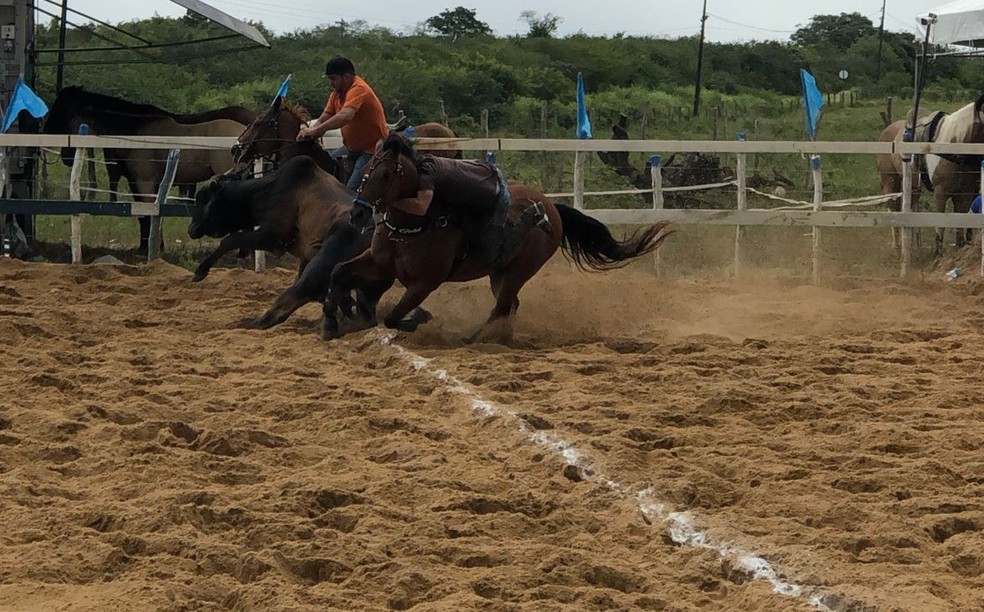 Vaquejada em Sergipe — Foto: Leonardo Barreto/ g1/arquivo