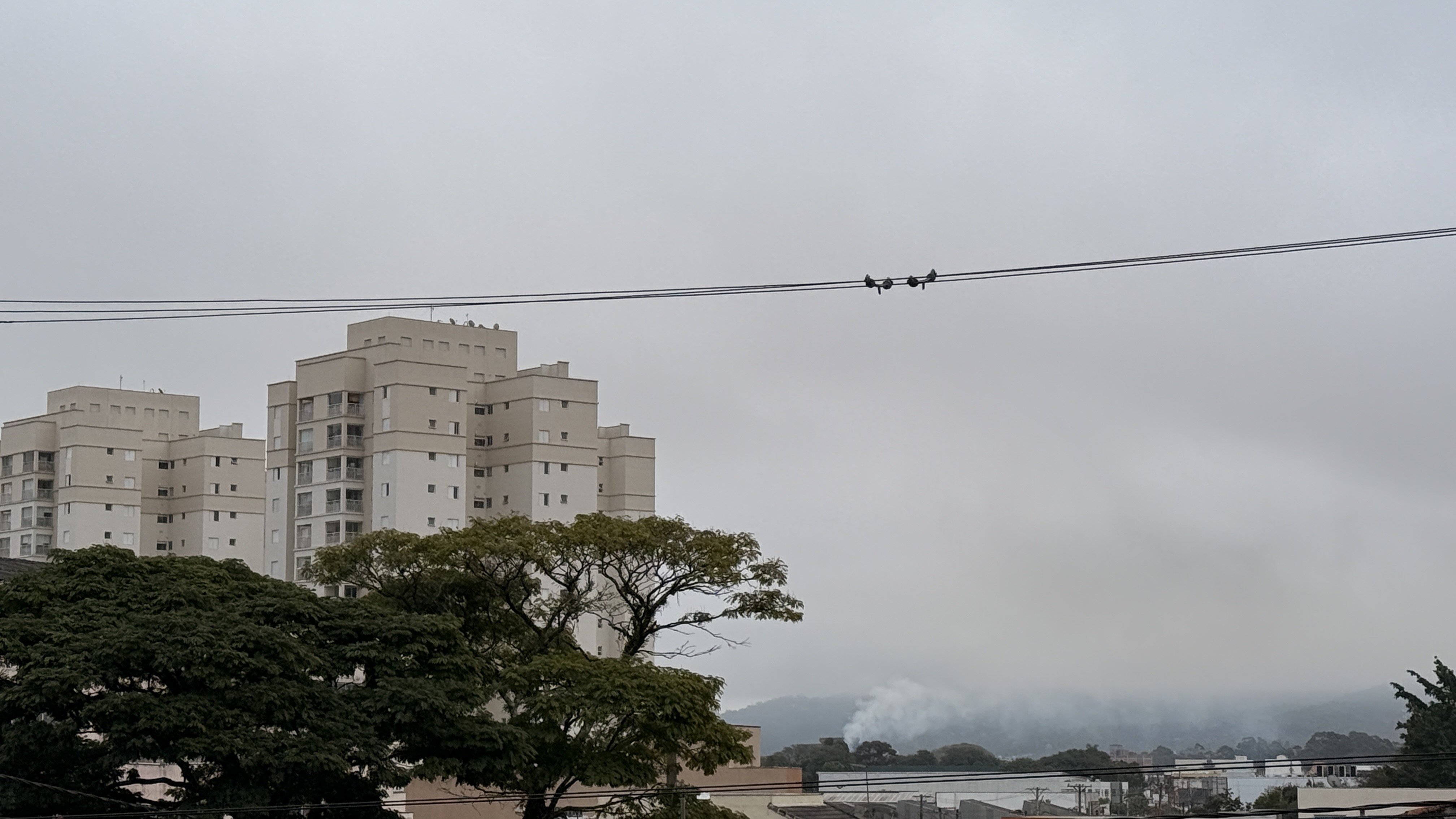 Tempo em Mogi das Cruzes: mínima de 10°C e chuva marcam a semana | G1