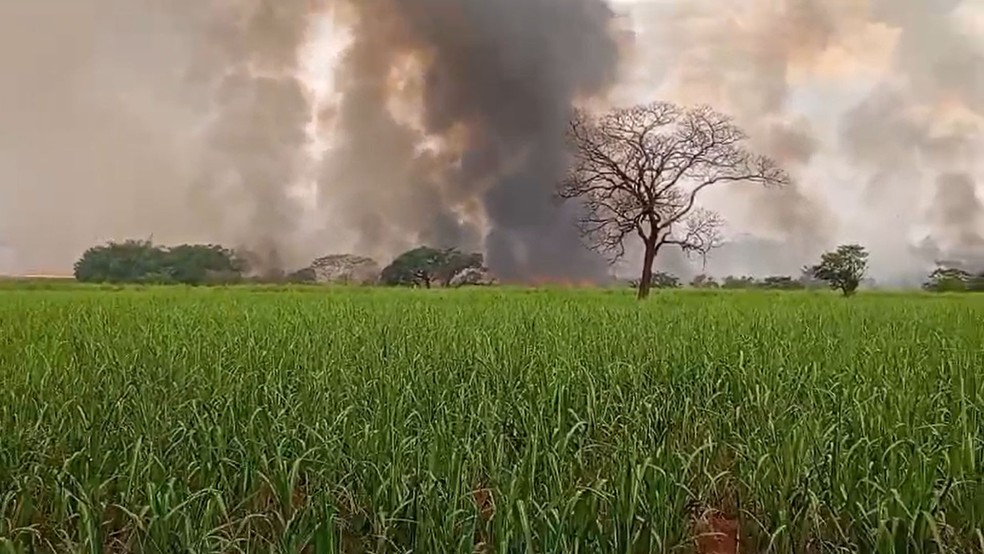 Queimada em área rural entre Paranapuã e Dolcinópolis (SP), no fim de semana: com alta temperatura e baixa umidade do ar, risco de incêndios é alto, alerta Defesa Civil estadual — Foto: Arquivo pessoal