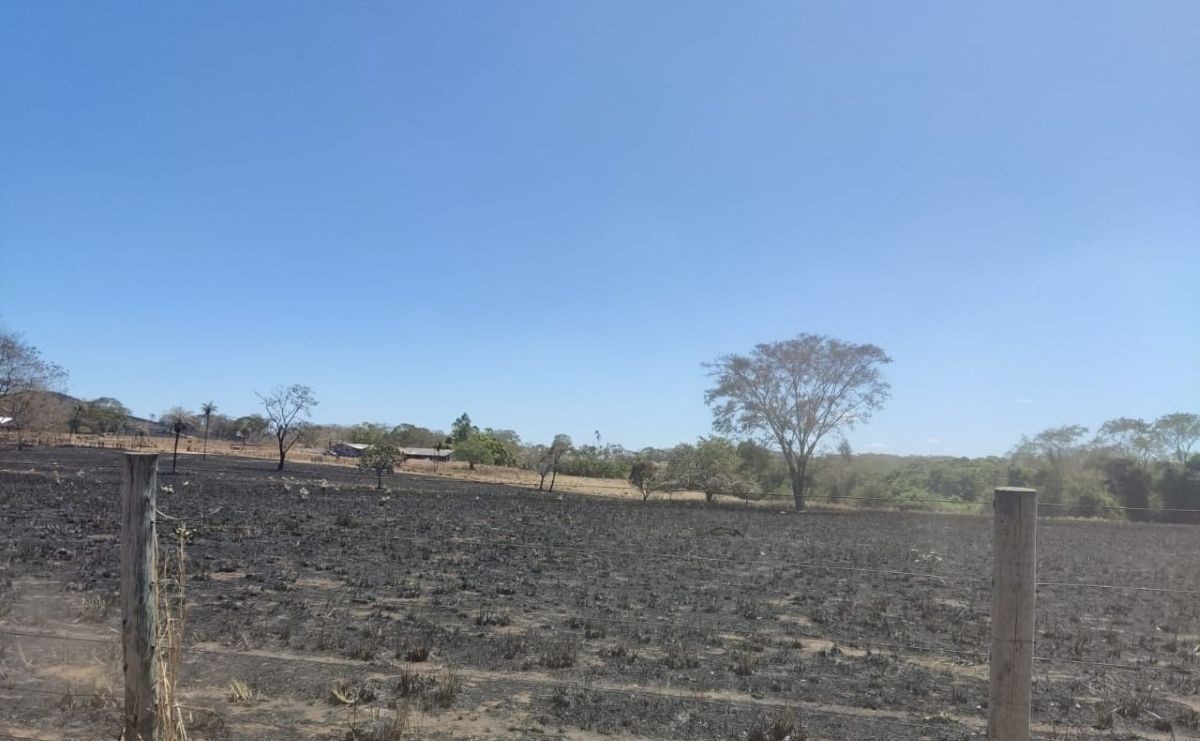 Suspeito de incêndio criminoso é preso em flagrante e multado em R$ 459 mil, diz PM