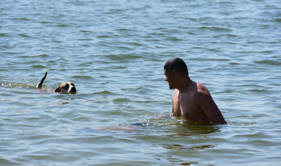 Cachorro aproveita praia da Guarderia em Vitória — Foto: Ricardo Medeiros/Rede Gazeta