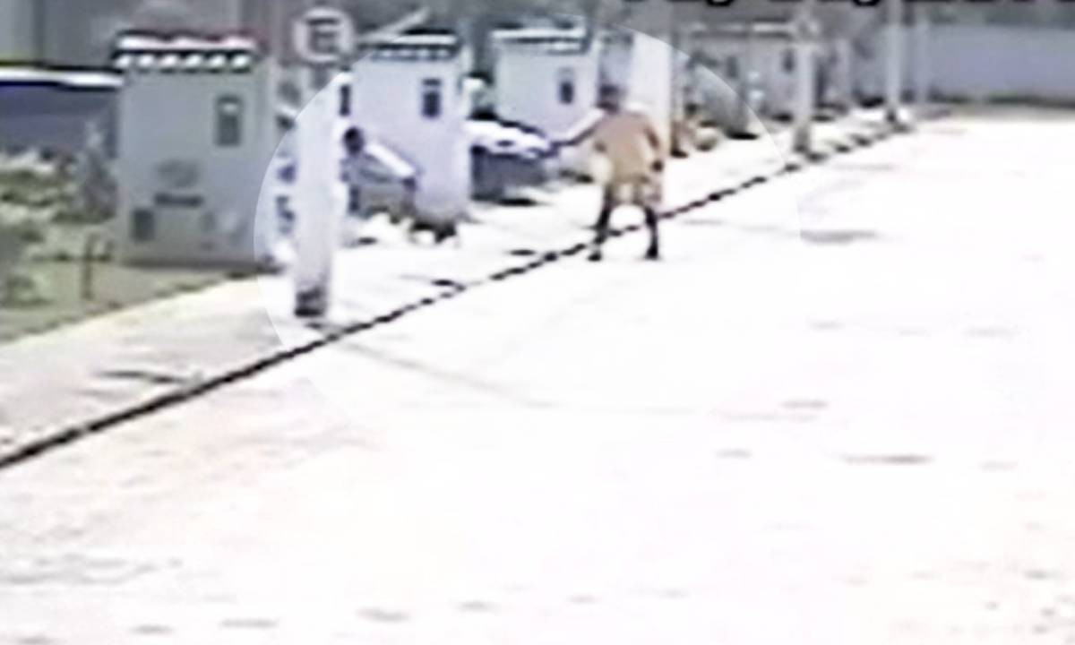 Justiça determina que policial militar vá a júri por tentativa de homicídio 11 anos após atirar contra vizinha e cães na Bahia