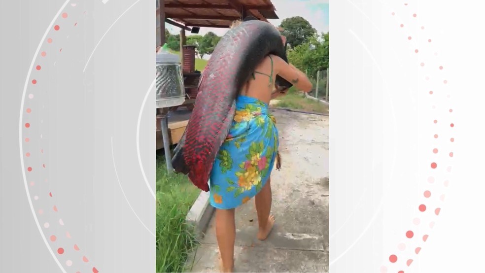 Pirarucu foi carregado nas costas por empresária no Espírito Santo — Foto: Arquivo Pessoal