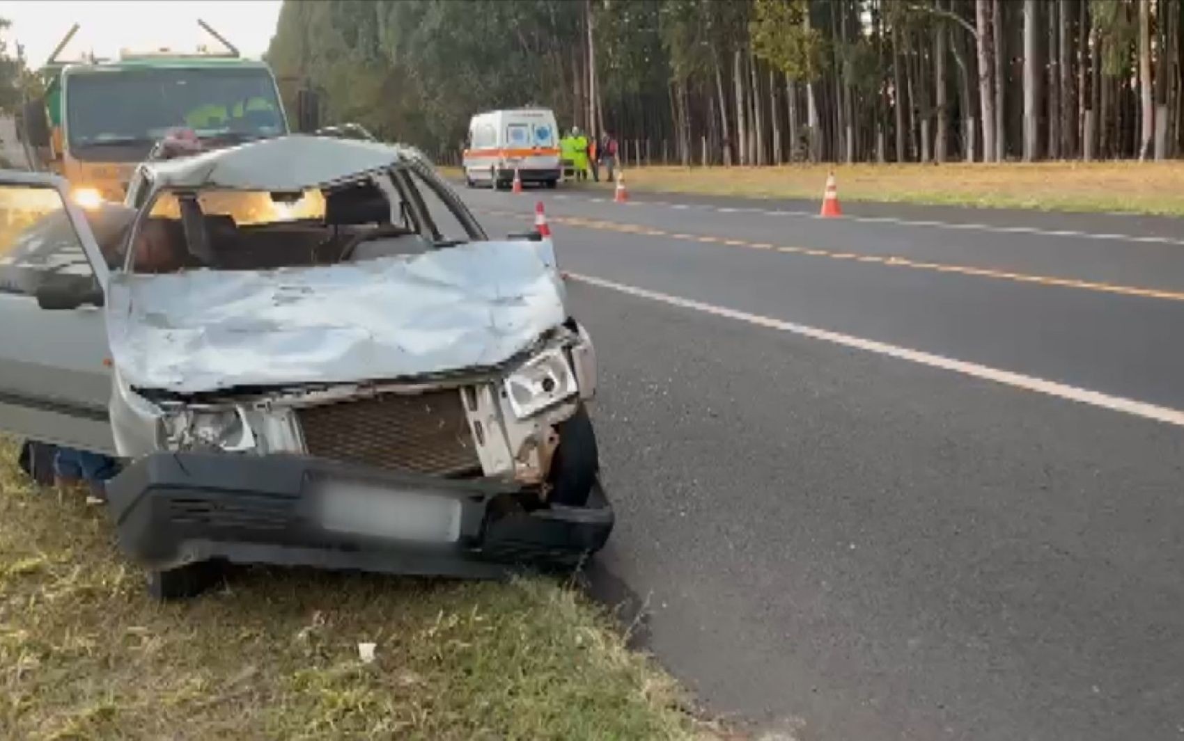 Cavalo morre e carro fica destruído após acidente em rodovia no interior de São Paulo