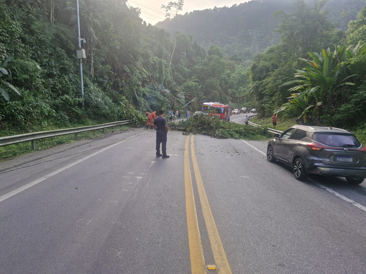 Árvore cai e interdita a Rodovia Rio-Santos em Angra dos Reis