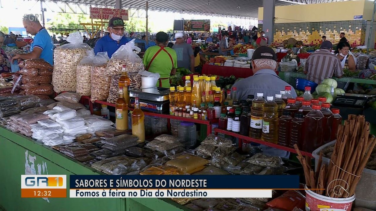 Construtora Indice - Hoje é dia do nordestino e nós, além de parabenizar  esse povo arretado, queremos testar o seu nordestinês. 😁 Então comenta  abaixo com as três primeiras gírias nordestinas que